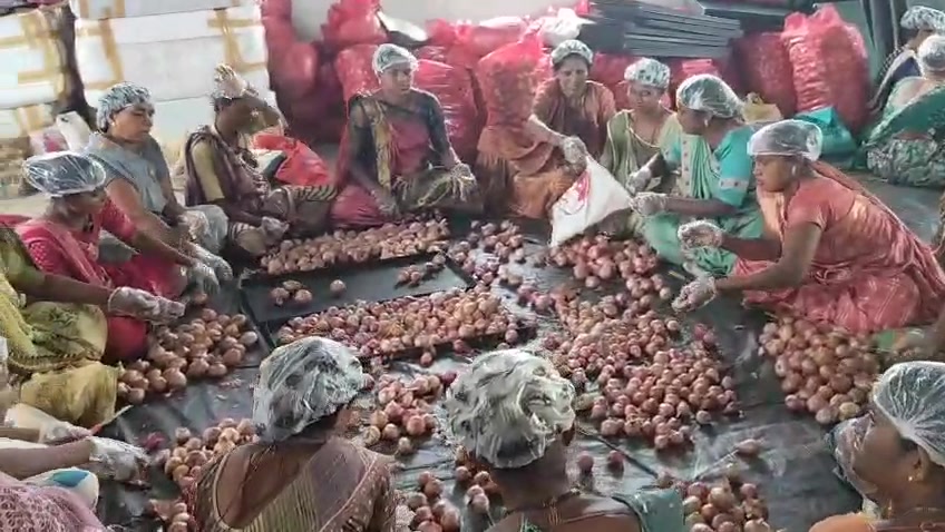 Women preparing onions for solar drying